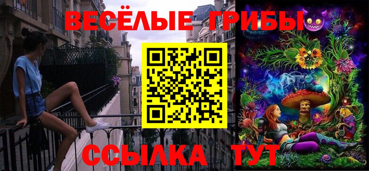 Миасс  Галлюциногенные грибы мухоморы  Вход с VPN 