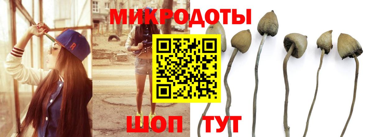 Псилоцибиновые грибы MAGIC MUSHROOMS Миасс